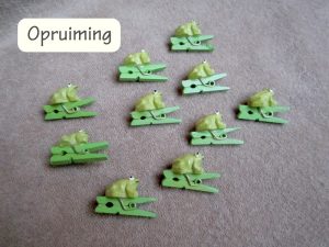 Kikker knijpertjes 25 stuks