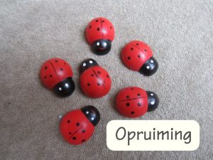 Houten lieveheerbeestjes, 25 stuks, 2,5 cm